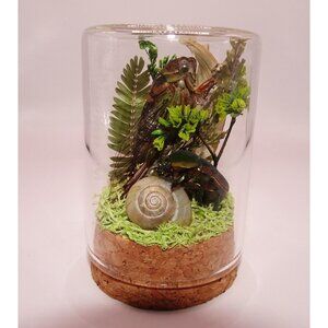 Cicada June Bug Snail Shell Luna Moth Wing Dried Flowers Oddity Jar taxidermy